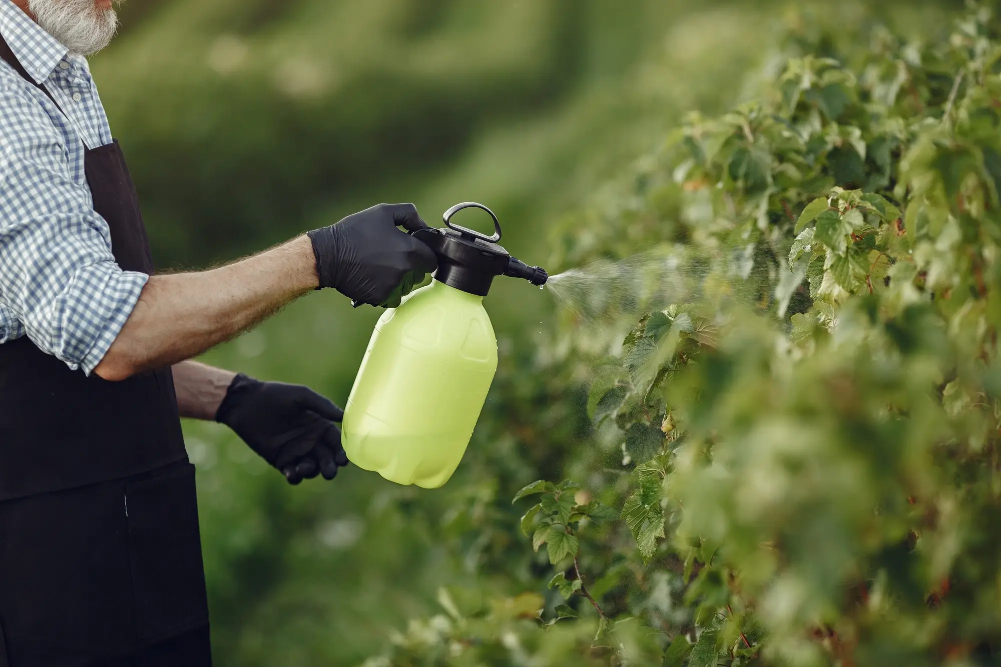 Antiespumantes para el Agro