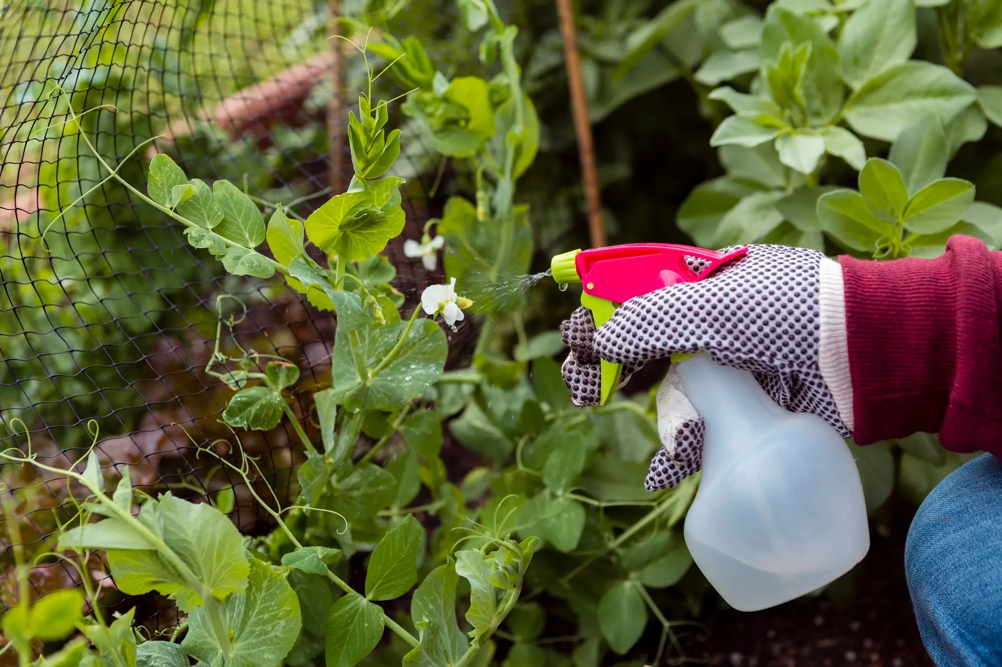 Antiespumantes para el Agro