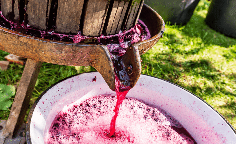 Antiespumante para fabricación de vinos de fruta