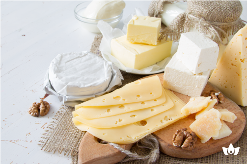 Los productos lácteos son alimentos de alto contenido nutricional que contienen aminoácidos, vitaminas y minerales